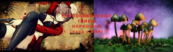 СК Алексеевка