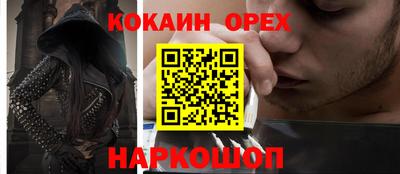 гашик Жуковский