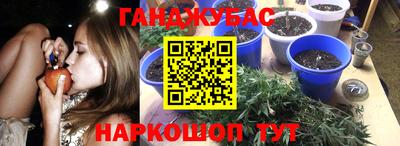 первитин Заводоуковск