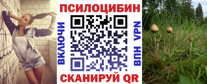 Псилоцибиновые грибы GOLDEN TEACHER  Новошахтинск 