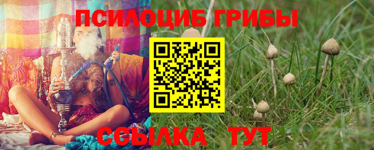 Новошахтинск  Галлюциногенные грибы мицелий  Галлюциногенные грибы MAGIC MUSHROOMS  Вход с VPN 