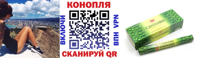где найти наркотики  Новошахтинск  Шишки марихуана план 